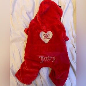 Juicy Couture pet tracksuit